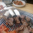 꼴통돼지