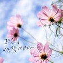 시작 이미지