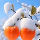 야외정원 스케치 이미지