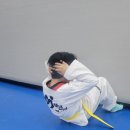 MNT 태권도 스포츠센터 이미지