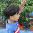 어부농장 이미지