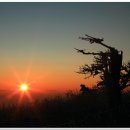 트럼펫연주 이미지