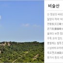 비슬산장