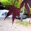 빅세일마트불국사 | P커플의 모든날이 좋았다. 경주용천수캠핑장