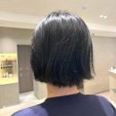 Hi Hair(하이 헤어)