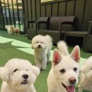 태담이네 하우스 이미지