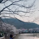 금산면 청곡사 주차장 내 이미지