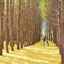 은행모텔 이미지