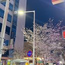 베스킨라빈스31운암