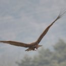 회천식당 이미지