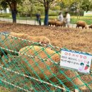 늘솔길공원화장실 이미지