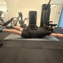 원더바디핏 이미지