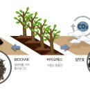 농업회사법인주식회사만나 이미지