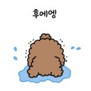 케이투어 이미지