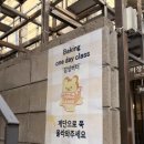 따끈따끈 베이킹 | 베이킹 첫 입문기.. 감성버터에서 사각 에그타르트 만들기 후기