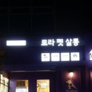 안나펫살롱 | 수원 애견미용 추천 - 로라펫 살롱에서 반달이 미용 했어요