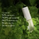 인셀덤 코코 네이버블로그