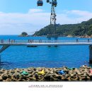 송도해상케이블카 이미지