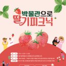 청동기박물관 이미지