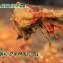 어부명가 이미지