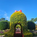 함평군립미술관 | 2025 함평국향대전 🌼 야경·체험·입장료 총정리! 전남 가을꽃축제 가볼만한곳