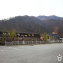 낙동강래프팅 Daum카페
