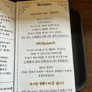베비아모