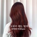 위트헤어(WIT)