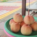 읍내12통마을회관 | 강원도 양양 2박 3일 여행 ③｜하나로마트 양양농협본점 주차팁, 용천리 복숭아마을, 어성전계곡