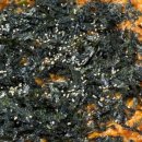 한양식당 이미지