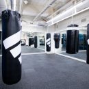 복싱 사관학교 이미지