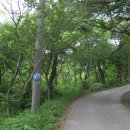 2007년 부석사의 사월초파일 풍경 이미지