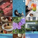 해운대the아델리스 | 아이와 여행 , 파크하얏트 부산 룸서비스