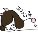 말바우동물병원 이미지