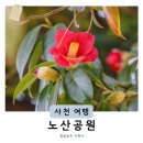 노산공원1(서금매립지) | 경남 사천 여행 겨울 가볼만한곳 애기동백명소 오션뷰 크리스마스 데이트