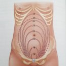 둥지P.C | 국시_모성