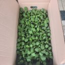 진주팜농약 이미지