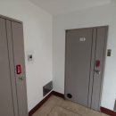 신생훼밀리 이미지