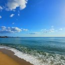 동해바다 이미지