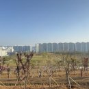 허브숲
