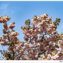 부평공원 이미지