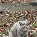 광주시립발레단 제135회 정기공연 | 발레공연 : 호두까기인형 광주시립발레단 강민지발레리나 박범수발레리노 공유민발레리나 2025