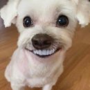 우리마트 월성점 이미지