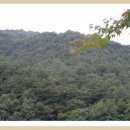 화순온천 이미지