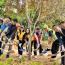 아산8호 이미지