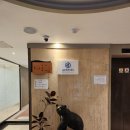 세무회계 최선