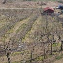 이가네화덕갈비 이미지