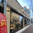 뉴질랜드 1642 대구센터점