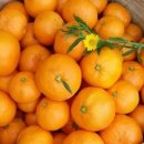 오부자농장 이미지