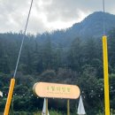 4월의밀밭 이미지